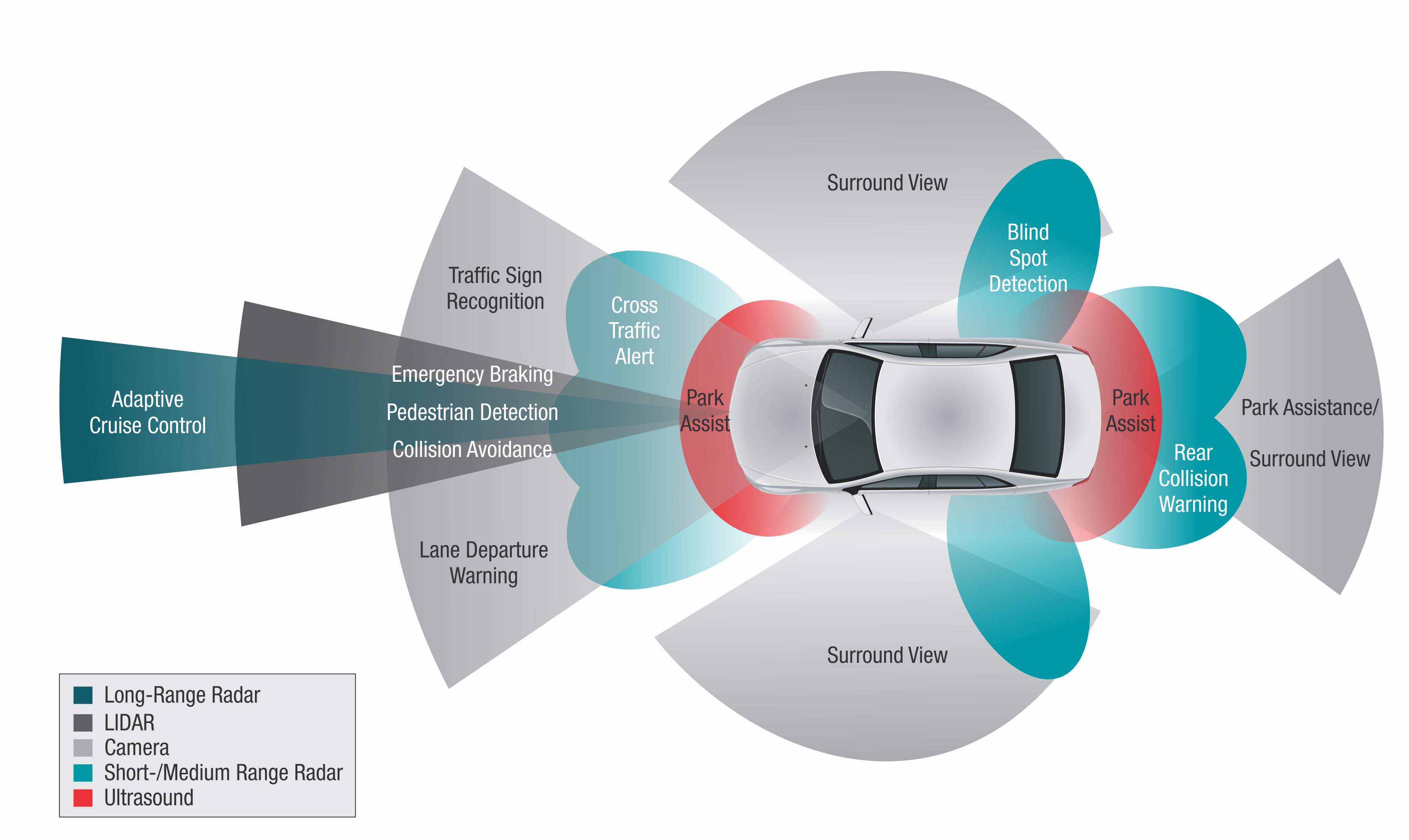 check cost alignment the (of Behind way the for  sleigh Wheel future) the Make