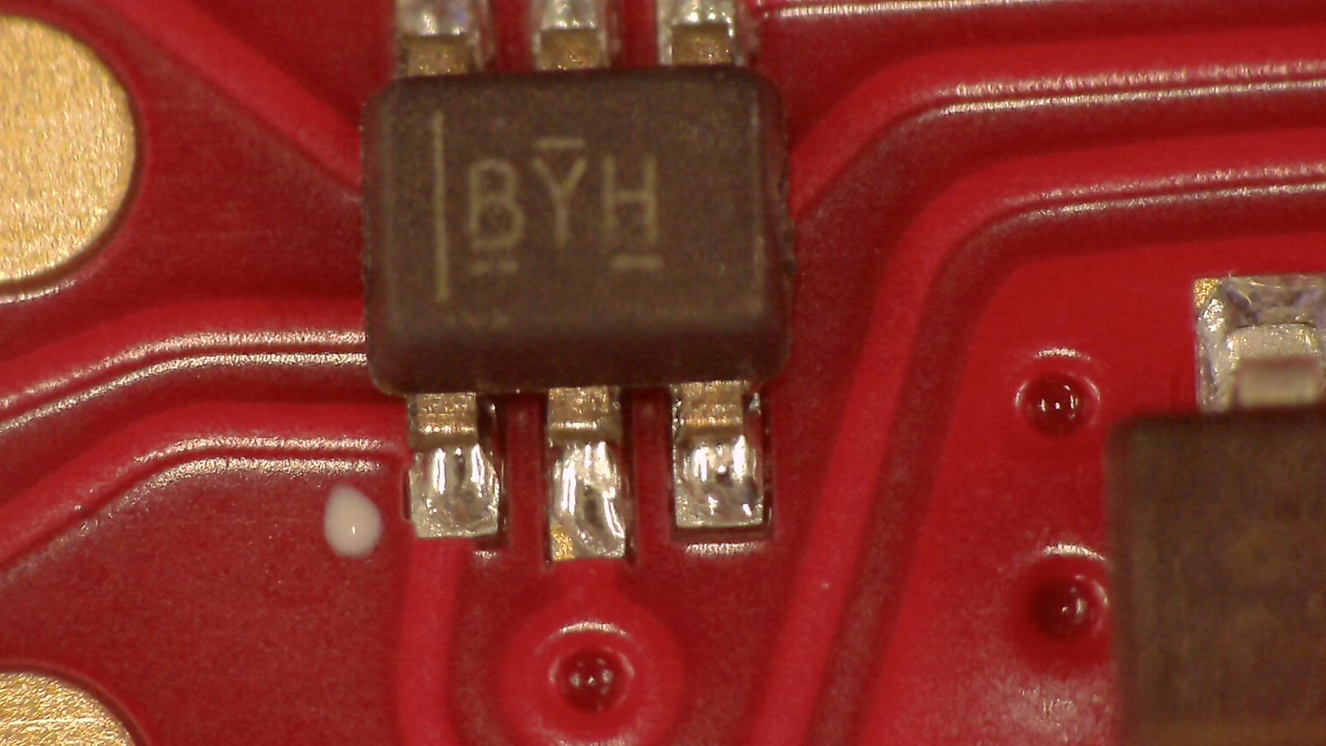 colorizedleads1.jpg