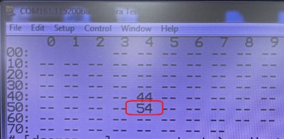 31402.jpg