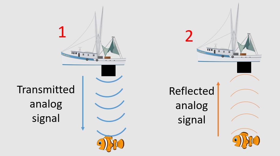 Compatible Analog to digital converter EVM with OMAP L138 LCDK? - Data ...