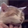 quark