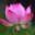 Tran Binh Duong