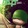 SimonC