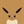 Toyama