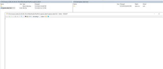 Empty Binary File