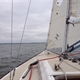 Bosun